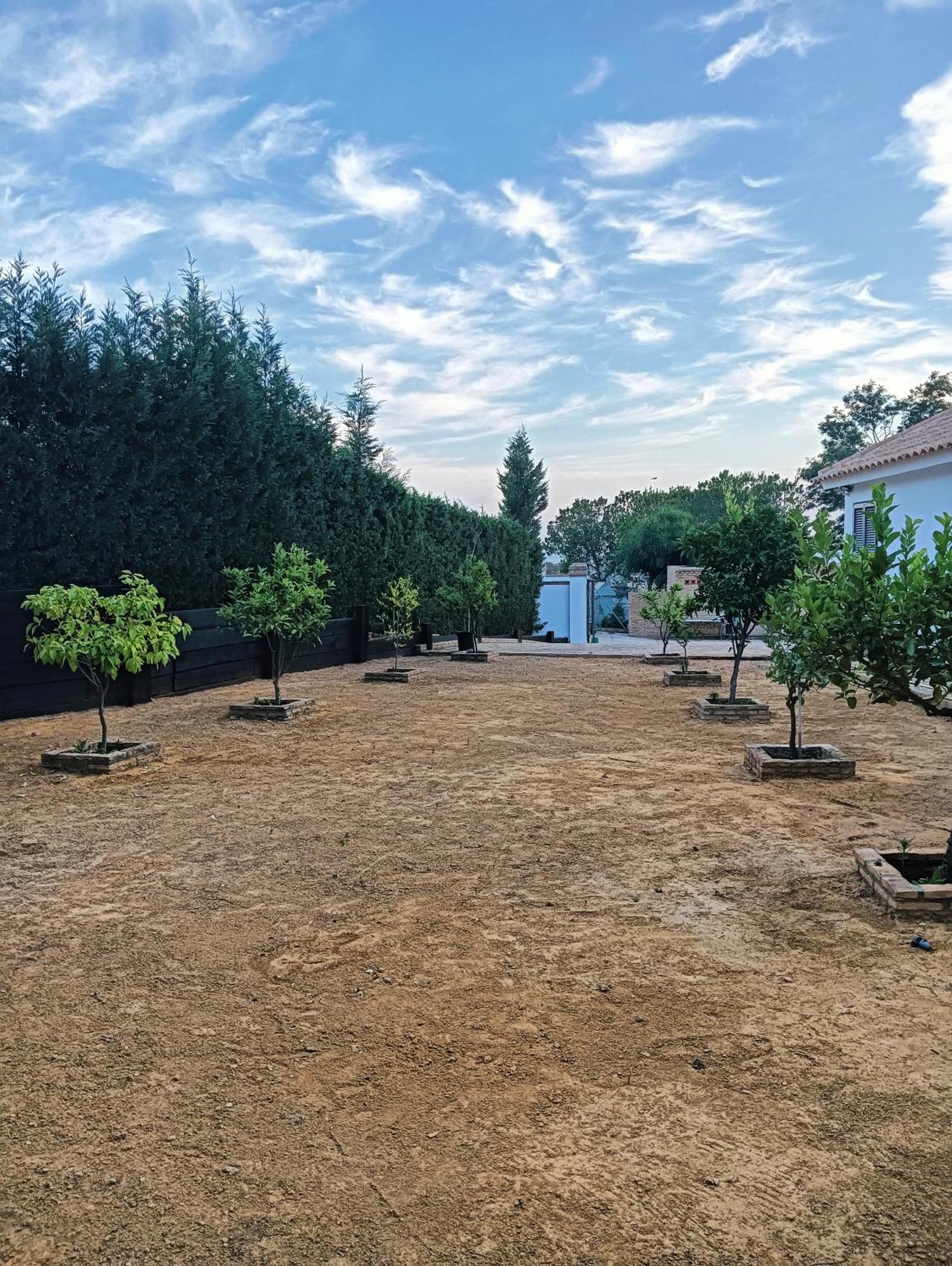 Finca Mis Morenas 帕洛斯德拉夫龙特拉 外观 照片