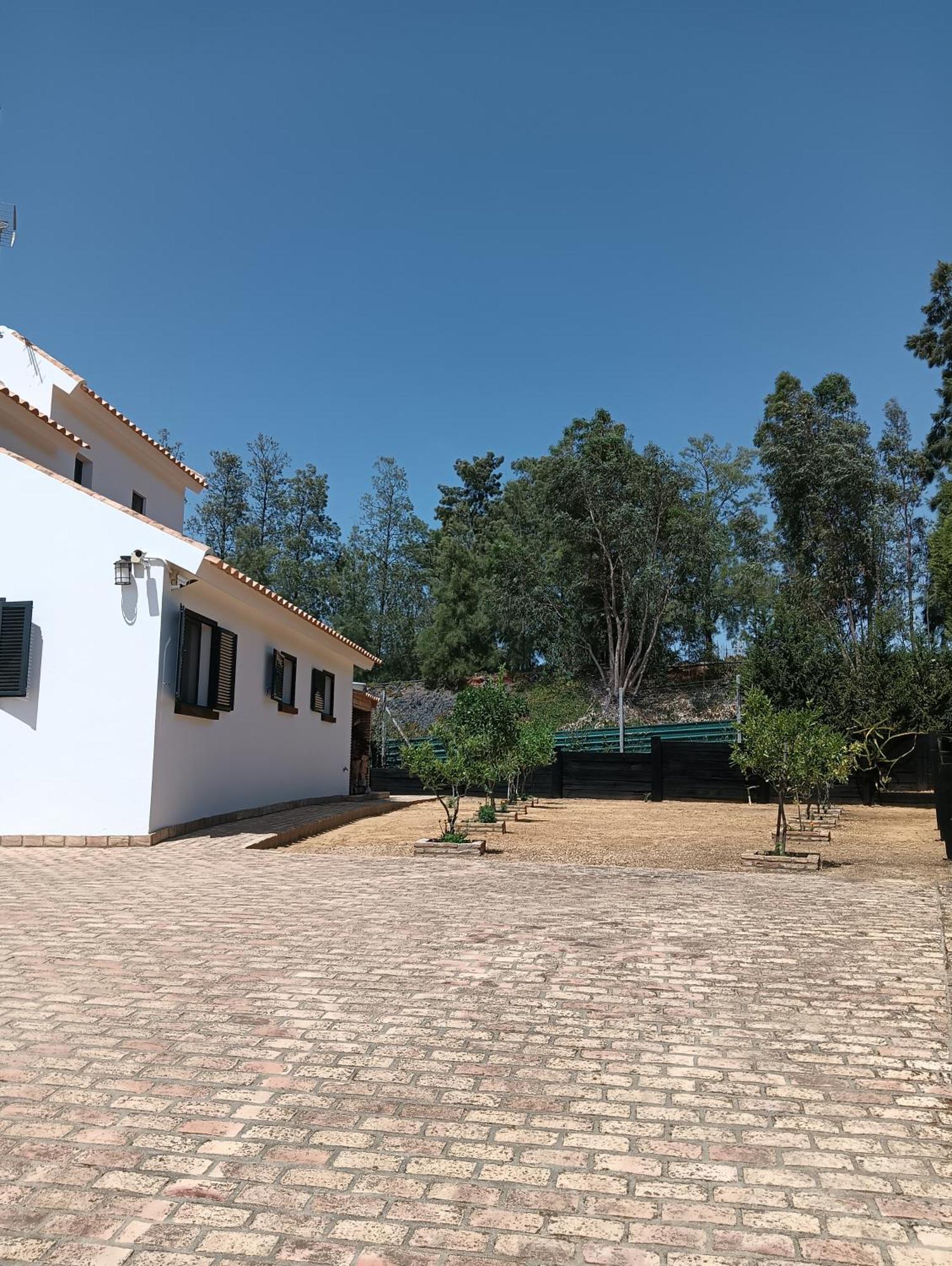 Finca Mis Morenas 帕洛斯德拉夫龙特拉 外观 照片